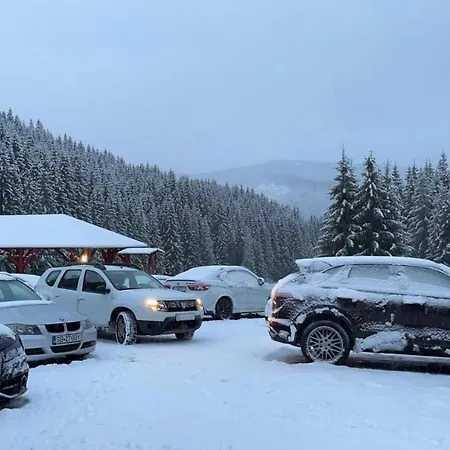 Cerbul-oasa-transalpina Ciban